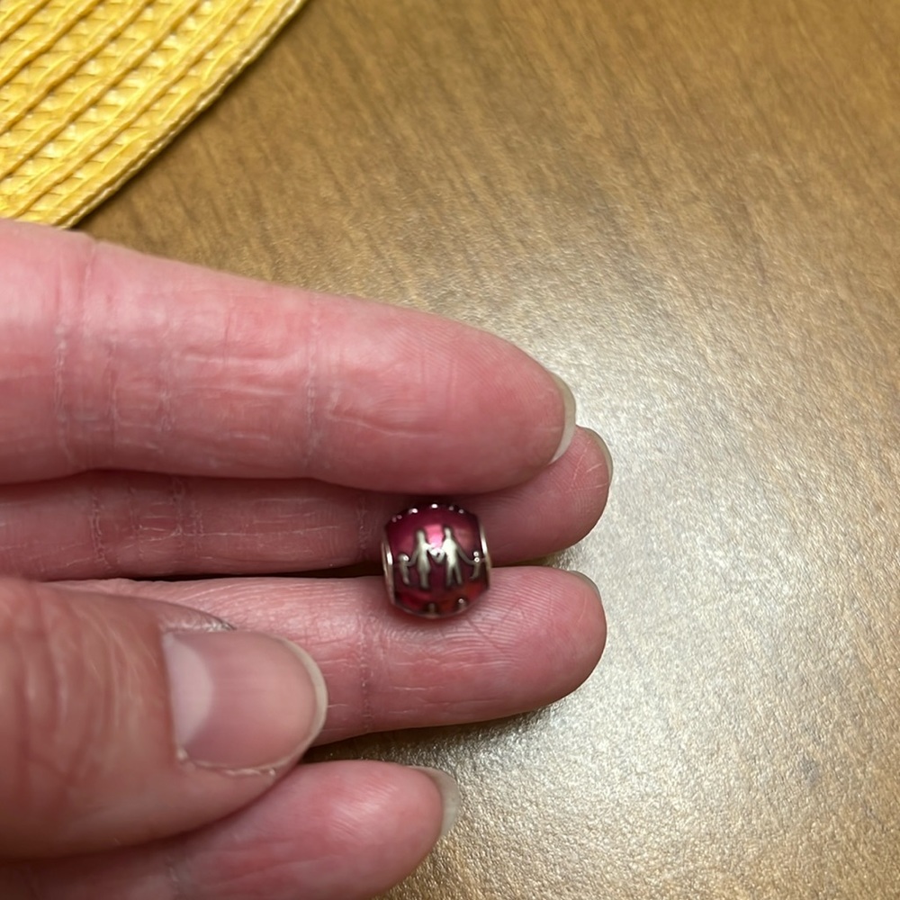 Pandora Family Charm